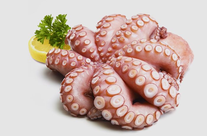 Tintenfisch & Pulpo