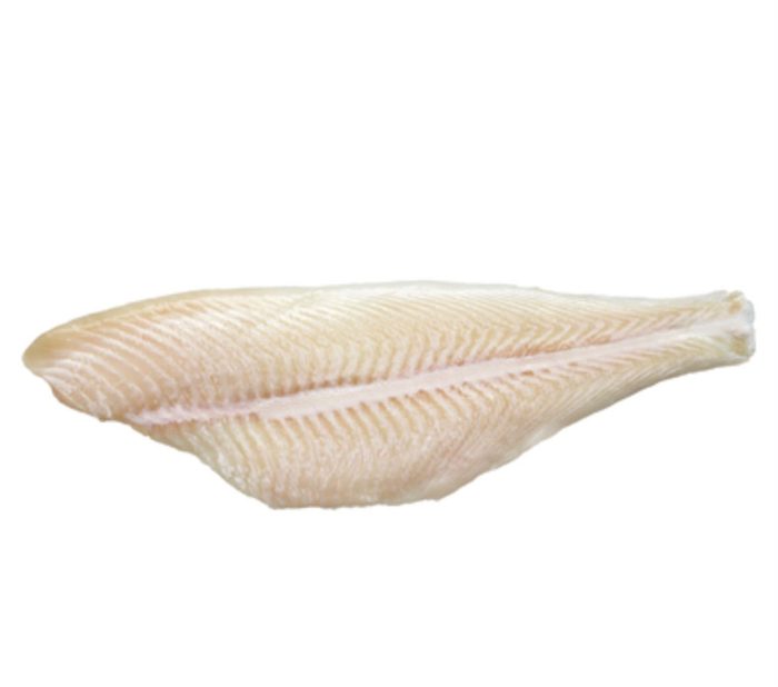 Schollenfilet