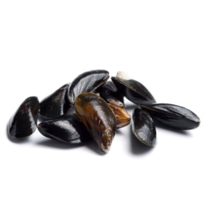 Muscheln & Austern